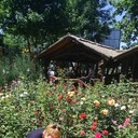 ���������� ������, ���� ������� ������, 45 ���, ������������ ��� ����� � ���������, c�������� ���������