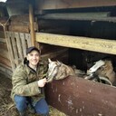 ���������� �����������, ���� ������� �����, 42 ����, ������������ ��� ������, ����� � ���������, c�������� ���������