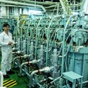 ���������� ������, ���� ������� ������, 29 ���, ������������ ��� ������, ����� � ���������, c�������� ���������