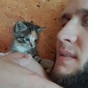 ���������� �����������, ���� ������� ���������, 28 ���, ������������ ��� ������, ����� � ���������, ���������