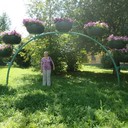  ,   VERA, 59 ,     , c 