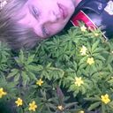 ���������� ����, ���� ������� White 555, 37 ���, ������������ ��� ������