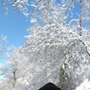 ���������� �������, ���� ������� Rinat, 58 ���, ������������ ��� ������, ����� � ���������, c�������� ���������