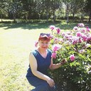 ���������� ������, ���� ������� ����, 62 ����, ������������ ��� ������, ����� � ���������, c�������� ���������