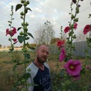 ���������� ����-�����������, ���� ������� ���������, 44 ����, ������������ ��� ������, ����� � ���������, c�������� ���������