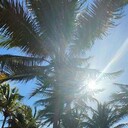 ���������� �����, ���� ������� ����, 40 ���, ������������ ��� ����� � ���������