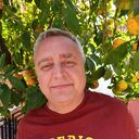 ���������� �������, ���� ������� �����, 61 ���, ������������ ��� c�������� ���������