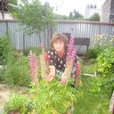  -,   , 60 ,     , c 