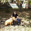  --,   , 37 ,   ,   , c , 