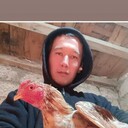  ,   , 33 ,   ,   