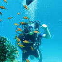 ���������� ���, ���� ������� �����, 37 ���, ������������ ��� ������, ����� � ���������