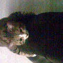  ,   Radik, 39 ,   ,   , c 
