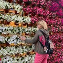 ���������� ��������, ���� ������� �����, 55 ���, ������������ ��� c�������� ���������