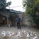  ,   Seymur, 45 ,   ,   , c 