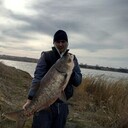 ���������� ������, ���� ������� Lexa, 36 ���, ������������ ��� ������, ����� � ���������, ���������