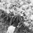 ���������� ���������, ���� ������� �����, 26 ���, ������������ ��� ������, ����� � ���������