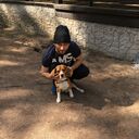 ���������� �����-���������, ���� ������� �����, 36 ���, ������������ ��� ������