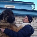 ���������� ������, ���� ������� ��������, 36 ���, ������������ ��� ������, ����� � ���������, c�������� ���������