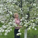 ���������� ������, ���� ������� ��������, 45 ���, ������������ ��� ������, ����� � ���������