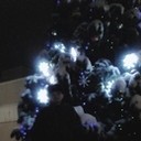 ���������� �������, ���� ������� ����, 33 ����, ������������ ��� ������, ����� � ���������, c�������� ���������