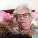 ���������� ����, ���� ������� ������, 73 ����, ������������ ��� c�������� ���������