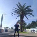 ���������� �����, ���� ������� �����, 37 ���, ������������ ��� ������, ����� � ���������