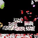 ,   Sky573, 57 ,   ,   , c 