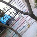 ���������� �������, ���� ������� Vitea N, 29 ���, ������������ ��� ������, ����� � ���������, c�������� ���������