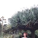 ���������� �����-���������, ���� ������� �����, 54 ����, ������������ ��� ����� � ���������, c�������� ���������