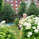 ���������� ������, ���� ������� ����, 72 ����, ������������ ��� c�������� ���������, ���������