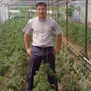  ,   Mura, 41 ,   ,   , c 