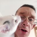  ,   , 52 ,   c , 