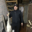 ���������� �����������, ���� ������� ���������, 40 ���, ������������ ��� ������, ����� � ���������, c�������� ���������, ���������