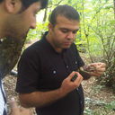 ���������� ����, ���� ������� Malik, 42 ����, ������������ ��� ������, ����� � ���������, c�������� ���������