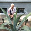 ���������� ������ ���, ���� ������� ������, 41 ���, ������������ 