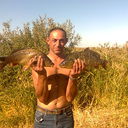 ���������� ������, ���� ������� ����, 48 ���, ������������ 