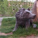 ���������� ����, ���� ������� ������� ����, 30 ���, ������������ ��� ����� � ���������, c�������� ���������