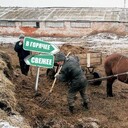 ���������� �����-���������, ���� ������� ���������, 53 ����, ������������ 