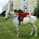 ���������� ������, ���� ������� ����, 38 ���, ������������ 