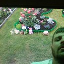 ���������� ��������, ���� ������� �����, 37 ���, ������������ ��� ������, ����� � ���������, c�������� ���������