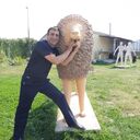 ���������� ������, ���� ������� �����, 48 ���, ������������ ��� ������, ����� � ���������, c�������� ���������, ���������