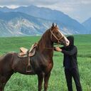  ,   Selim, 33 ,   ,   