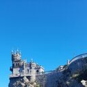 ���������� �����������, ���� ������� ����, 42 ����, ������������ ��� ������, ����� � ���������, ���������