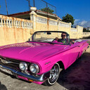 ���������� �����, ���� ������� ������, 42 ����, ������������ ��� c�������� ���������