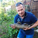 ���������� ������� ����, ���� ������� �������, 50 ���, ������������ ��� ������, ����� � ���������, c�������� ���������