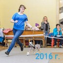 ���������� ������, ���� ������� ������, 44 ����, ������������ ��� c�������� ���������