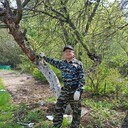   ,   , 74 ,   ,   , c , 