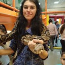  ,   , 34 ,   