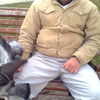  ,   , 44 ,   
