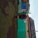 ���������� �����������, ���� ������� ������, 46 ���, ������������ ��� ������, ����� � ���������